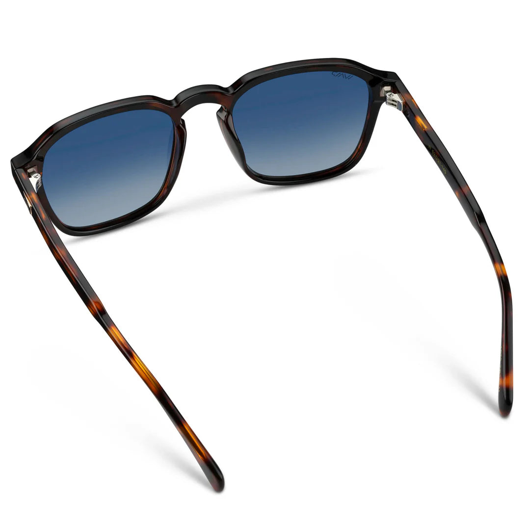 WMP Polarized Francis Glasses