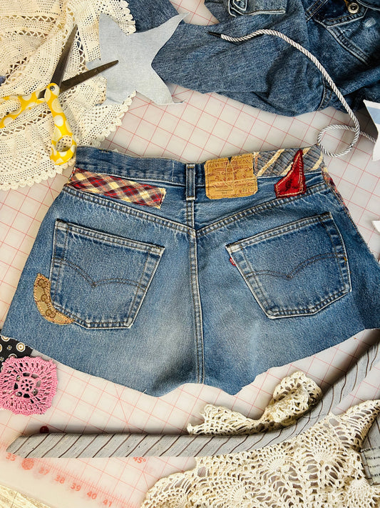 OOAk Levi's & Gucci Ties Cutoffs