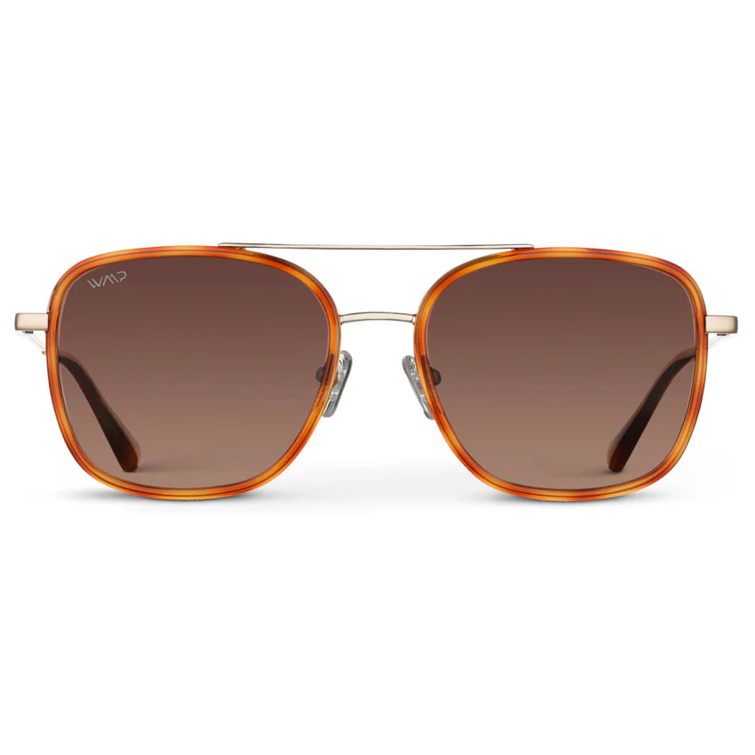 WMP Gia Square Aviator Polarized Sunglasses