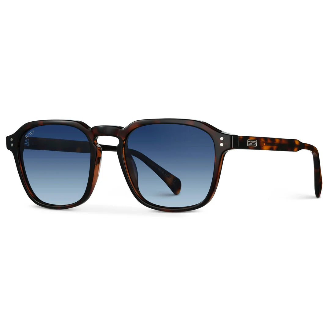 WMP Polarized Francis Glasses
