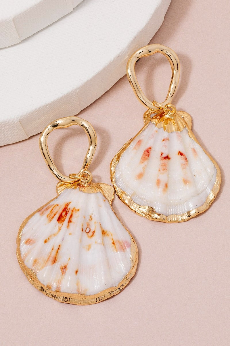 Clam Shell Charm Hoop Stud Drop Earrings