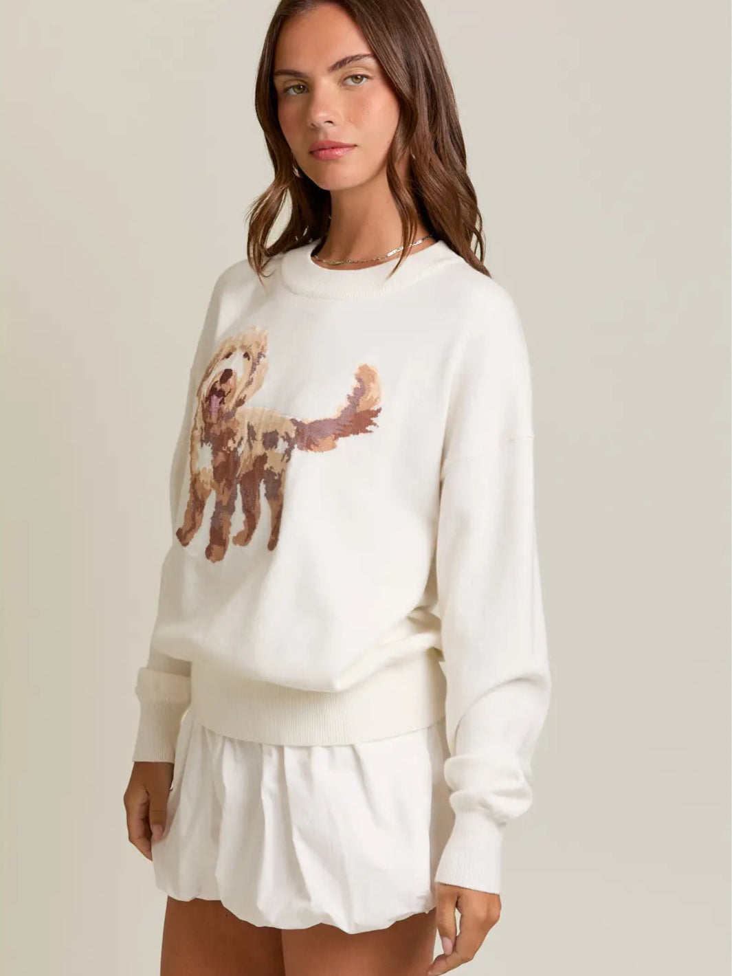 Long Sleeve Crew Neck Puppy Graphic Sweater