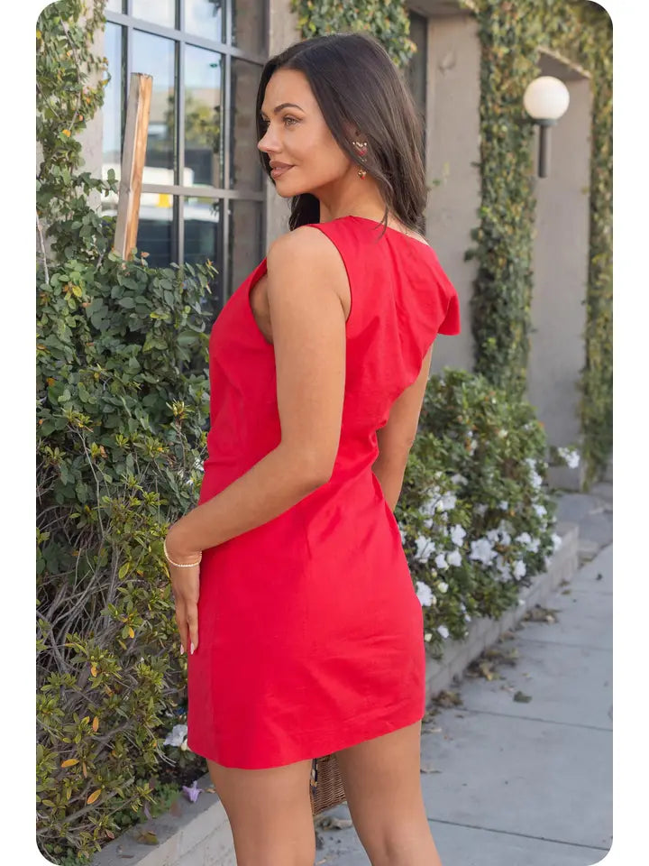Lucky Break Mini Dress