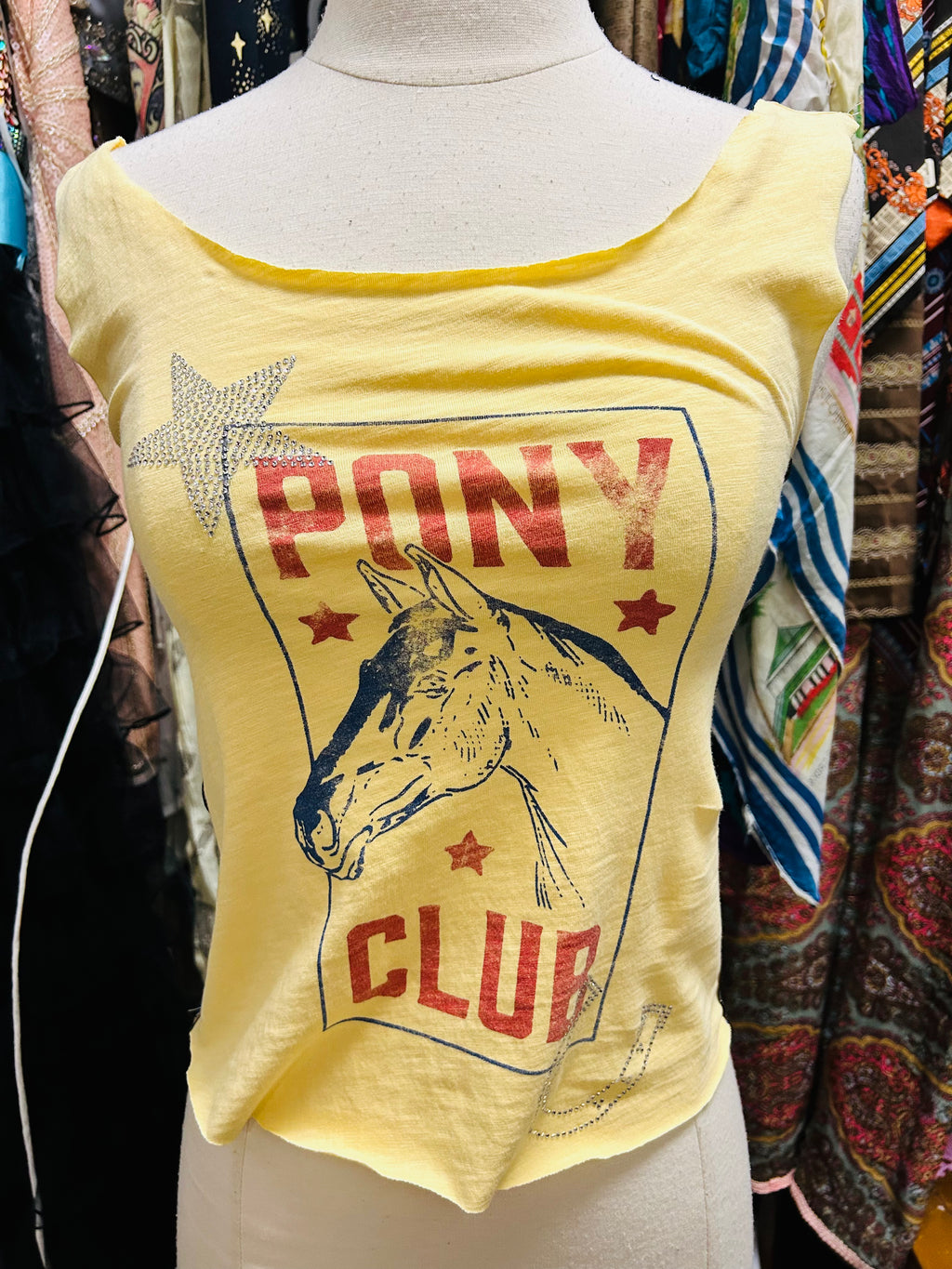 Libby Story Remake Pony Graphic Tee