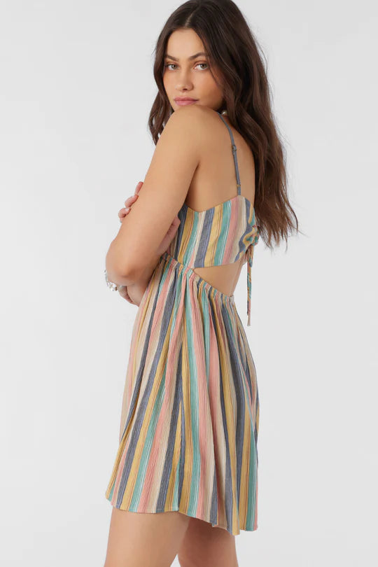 O'Neill Rami Stripe Dress
