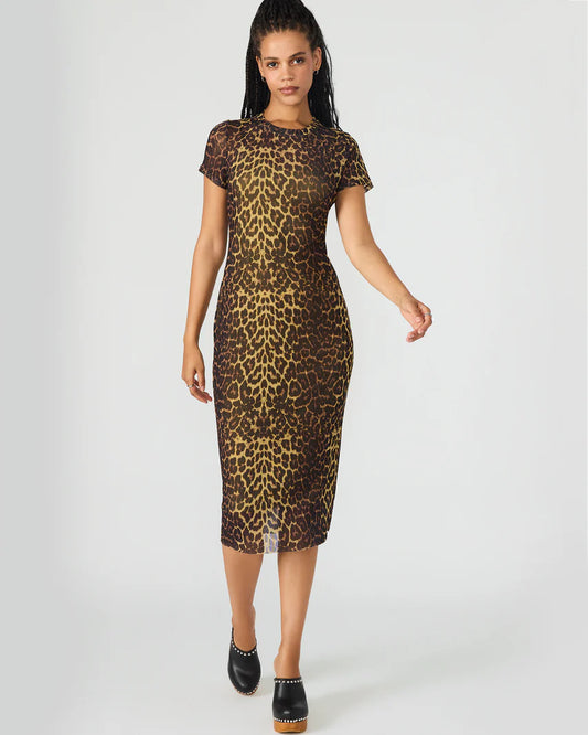 Steve Madden Hailee Dress