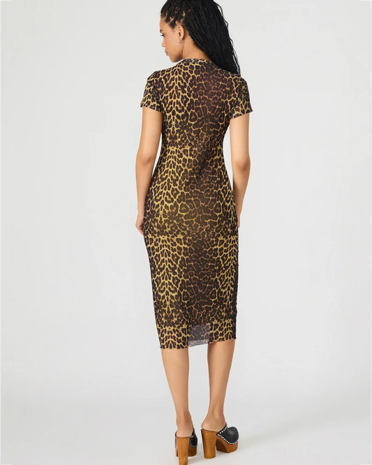 Steve Madden Hailee Dress