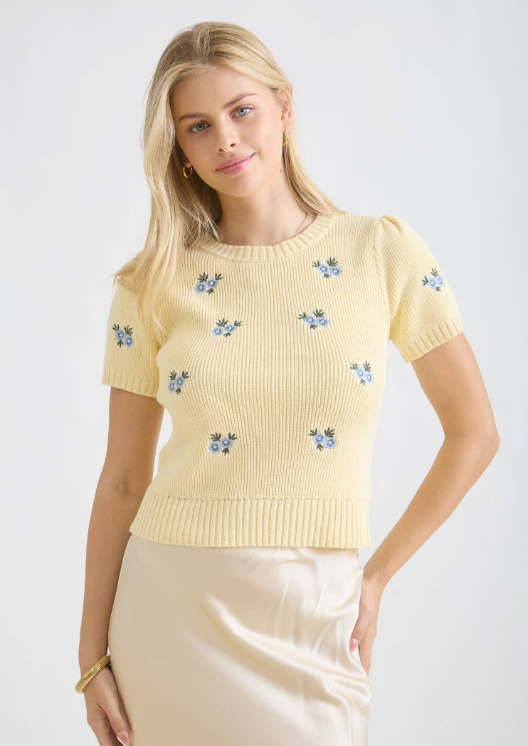 Floral Embroidery Round Neck Short Sleeve Sweater