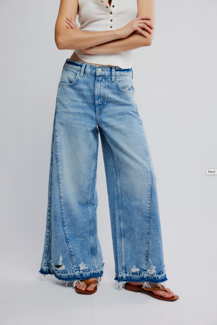 Free People Apollo Wide Leg Jean