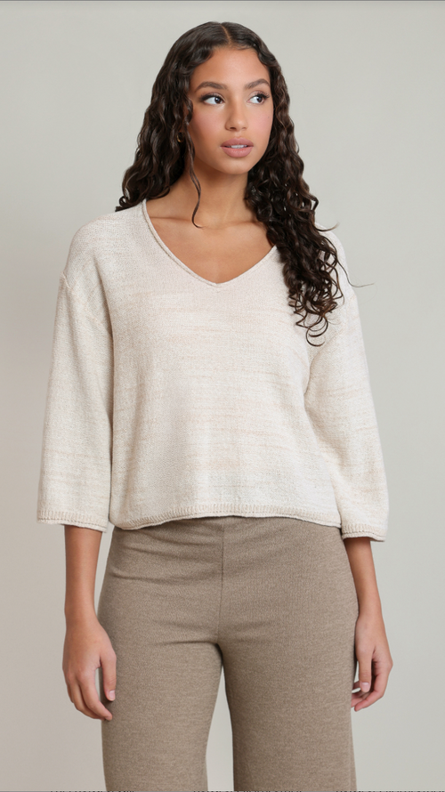 Dex V-Neck Sweater Top