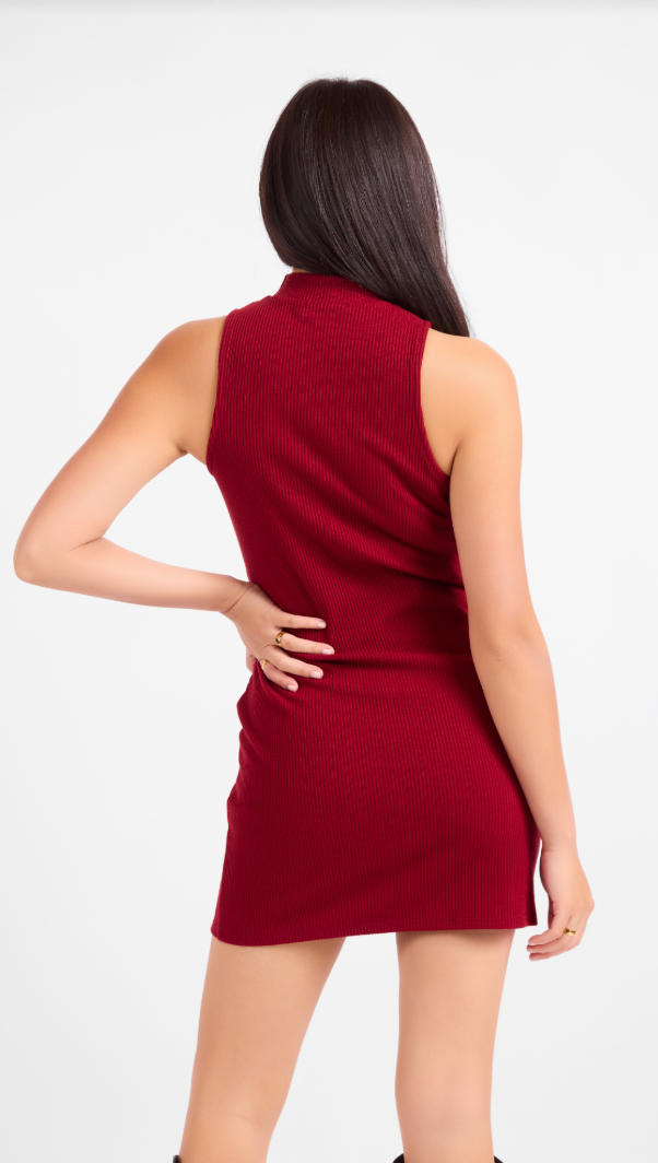 Sadie & Sage Archivist Mock Neck Mini Dress