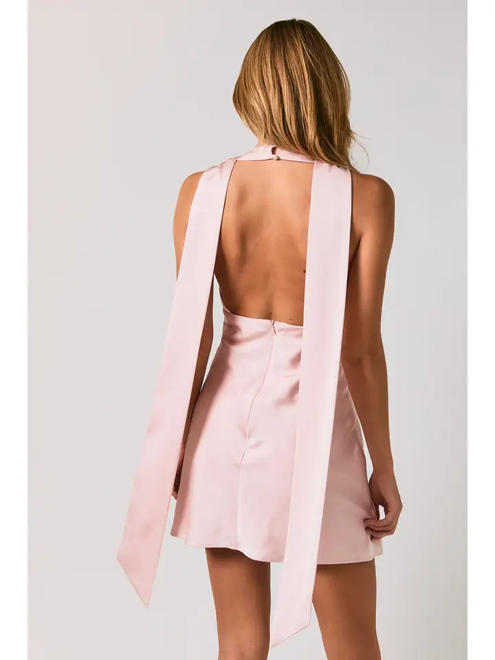 Do It Your Way Mini Dress